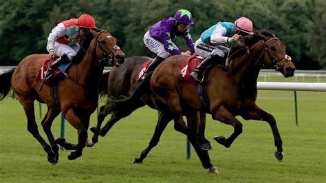 haydock results saturday.